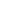 Professional Speaking icon